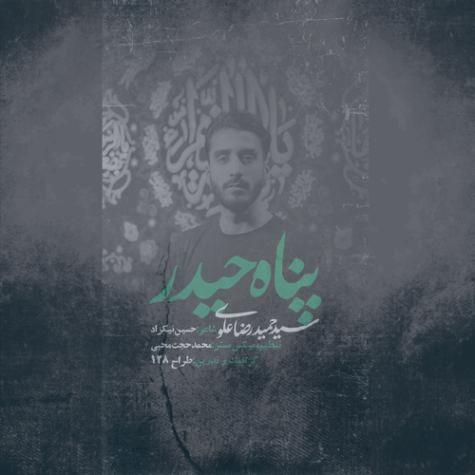 دانلود آهنگ سید حمیدرضا علوی نماهنگ پناه حیدر