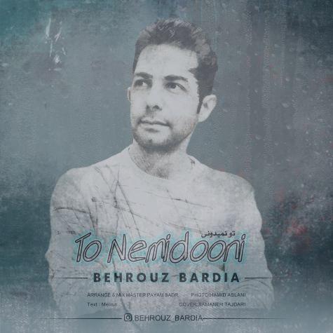 دانلود آهنگ بهروز بردیا تو نمیدونی