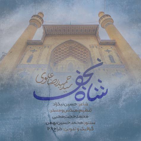 دانلود آهنگ سید حمیدرضا علوی نماهنگ شاه نجف
