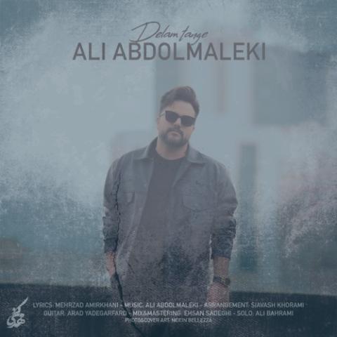 دانلود آهنگ علی عبدالمالکی دلم تنگه
