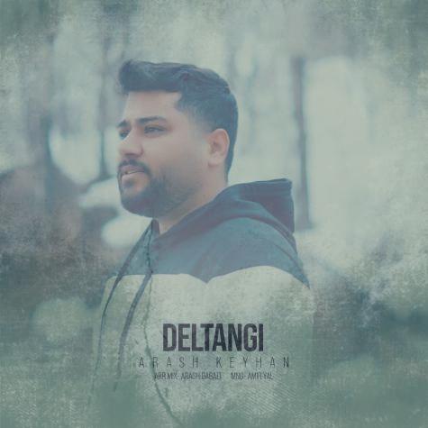دانلود آهنگ آرش کیهان دلتنگی