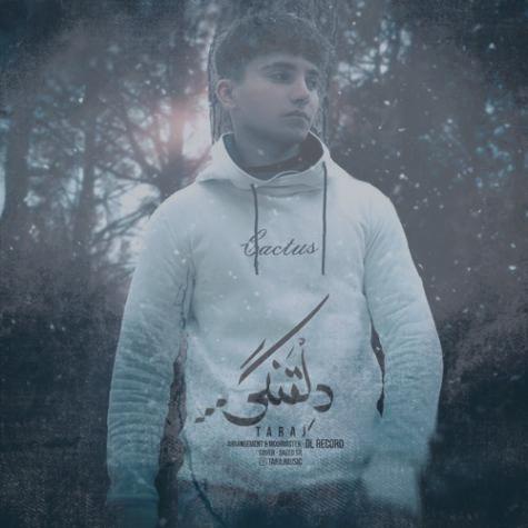 دانلود آهنگ تاراج دلتنگی