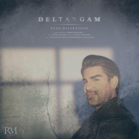 دانلود آهنگ رضا ملک زاده دلتنگم
