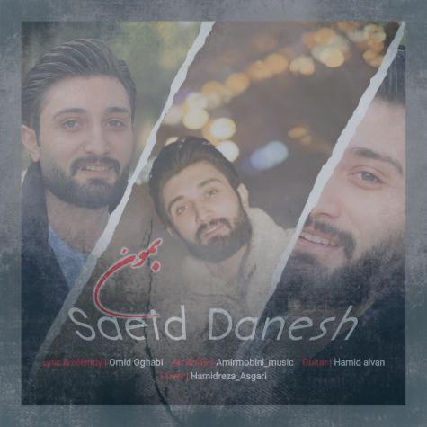 دانلود آهنگ سعید دانش بمون