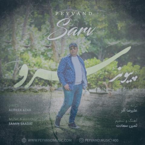 دانلود آهنگ پیوند سرو