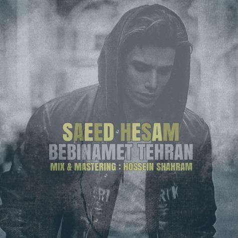دانلود آهنگ سعید حسام ببینمت تهران