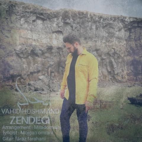 دانلود آهنگ وحید هوشمند زندگی