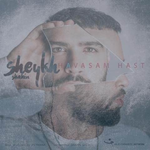 دانلود آهنگ شاهین شیخ حواسم هست