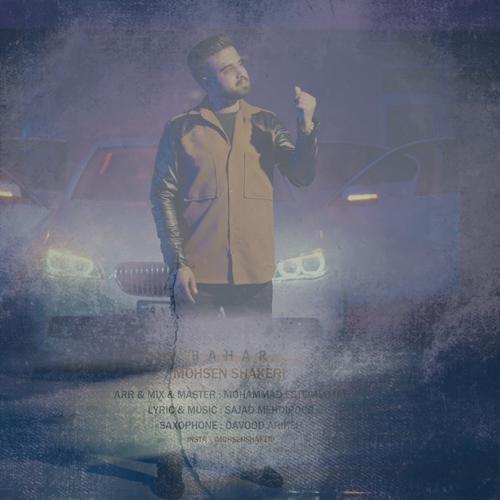 دانلود آهنگ محسن شاکری بهار