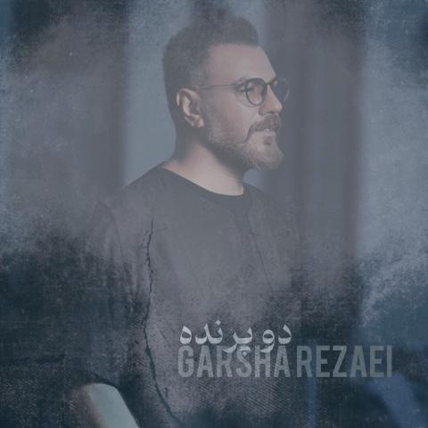 دانلود آهنگ گرشا رضایی دو پرنده