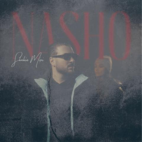 دانلود آهنگ شاهین میری نشو