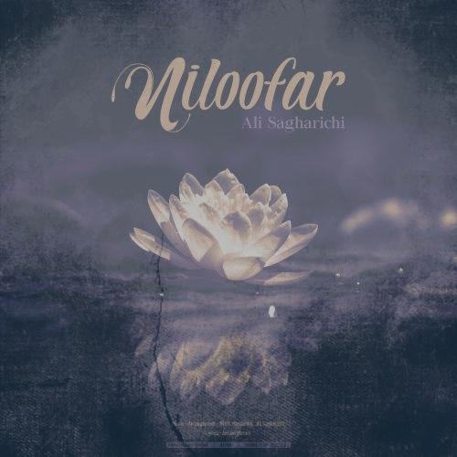 دانلود آهنگ علی ساغریچی نیلوفر