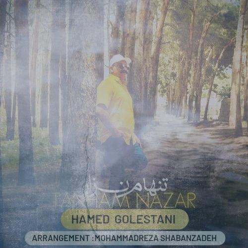 دانلود آهنگ حامد گلستانی تنهام نزار دانلود آهنگ حامد گلستانی تنهام نزار