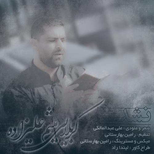 دانلود آهنگ میثم علیزاده نشد