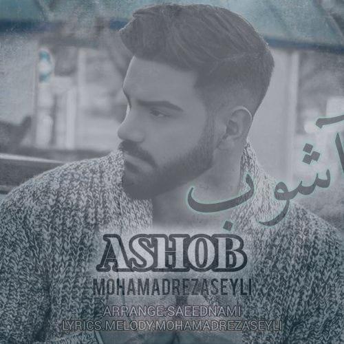 دانلود آهنگ محمدرضا سیلی آشوب