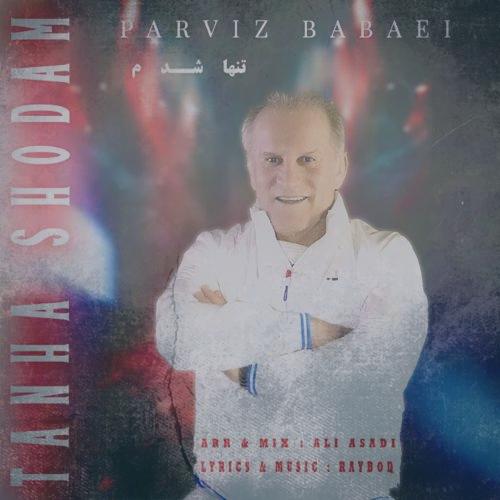 دانلود آهنگ پرویز بابایی تنها شدم