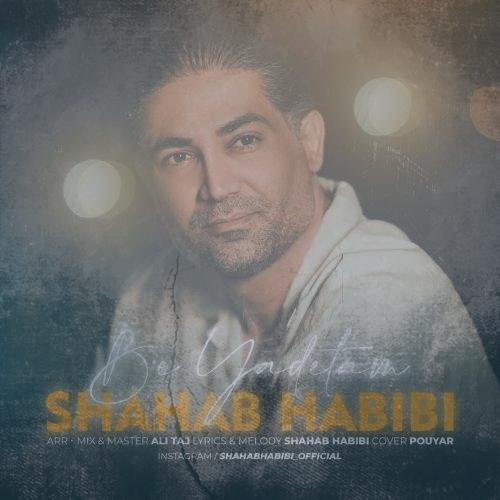 دانلود آهنگ شهاب حبیبی به یادتم
