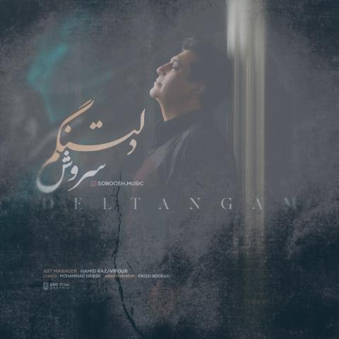 دانلود آهنگ سروش دلتنگم