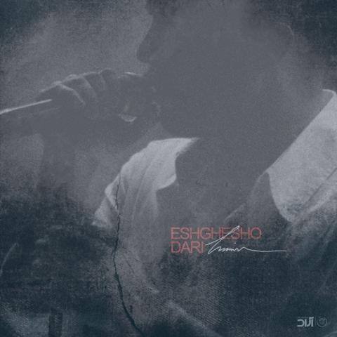 دانلود آهنگ حامیم عشقشو داری