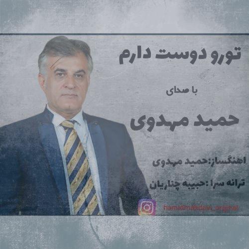 دانلود آهنگ حمید مهدوی تورو دوست دارم