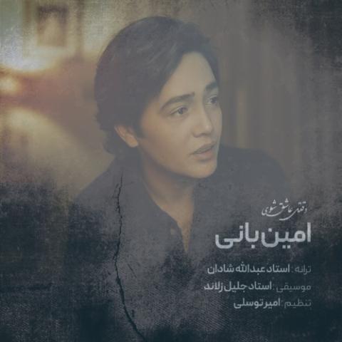 دانلود آهنگ امین بانی وقتی عاشق شوی