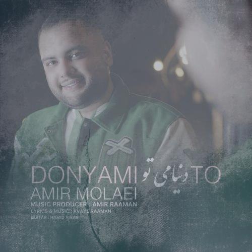 دانلود آهنگ امیر مولایی دنیامی تو