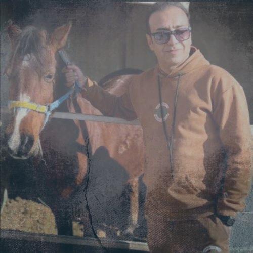 دانلود آهنگ محمد هادی عبادتی گل باغ شیراز