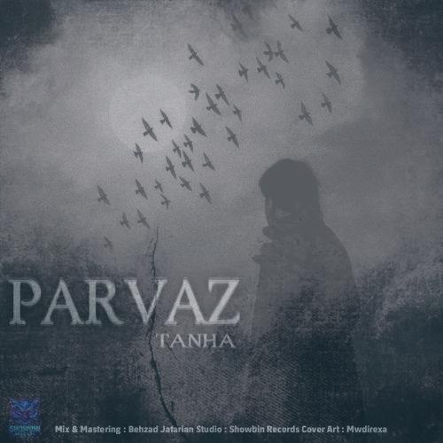 دانلود آهنگ پرواز تنها