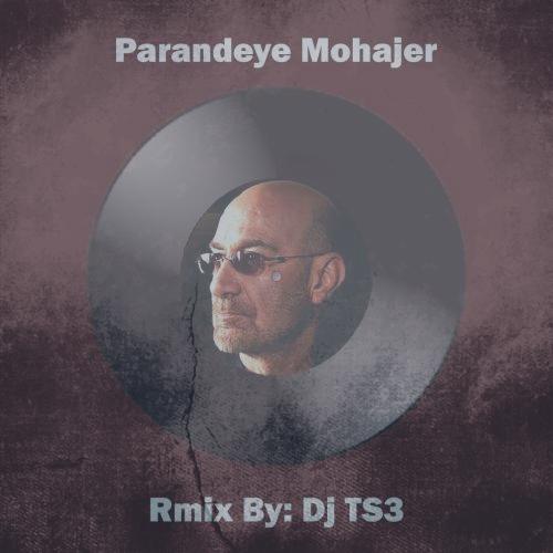 دانلود آهنگ Dj TS3 ریمیکس پرنده مهاجر (سیاوش قمیشی)