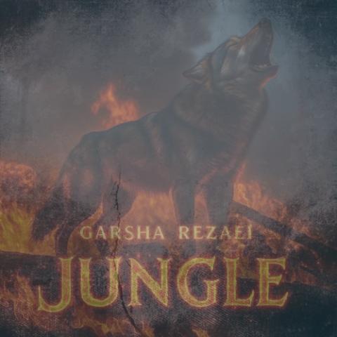 دانلود آهنگ گرشا رضایی جنگل