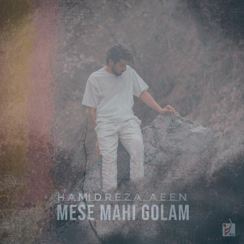 دانلود آهنگ حمیدرضا آیین مثه ماهی گلم