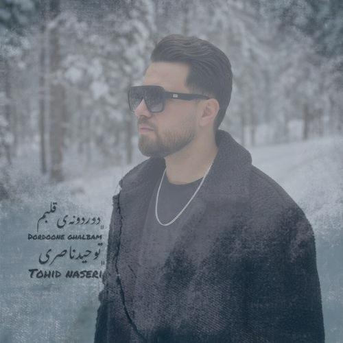 دانلود آهنگ توحید ناصری دوردونه ی قلبم