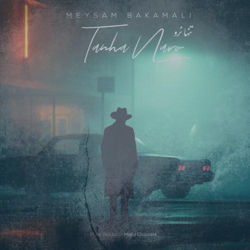 دانلود آهنگ میثم باکمالی تنها نرو