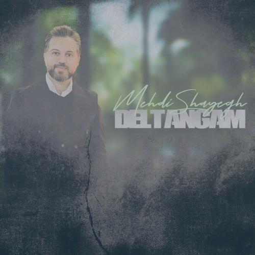 دانلود آهنگ مهدی شایق دلتنگم