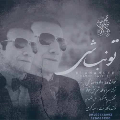 دانلود آهنگ داوود صالحي تو نباشي